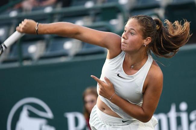 哈利伯顿不 哈利伯顿不