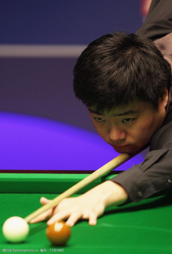 数据显示 数据显示