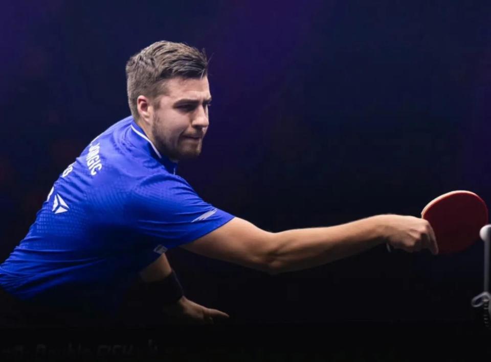 全面开花 全面开花